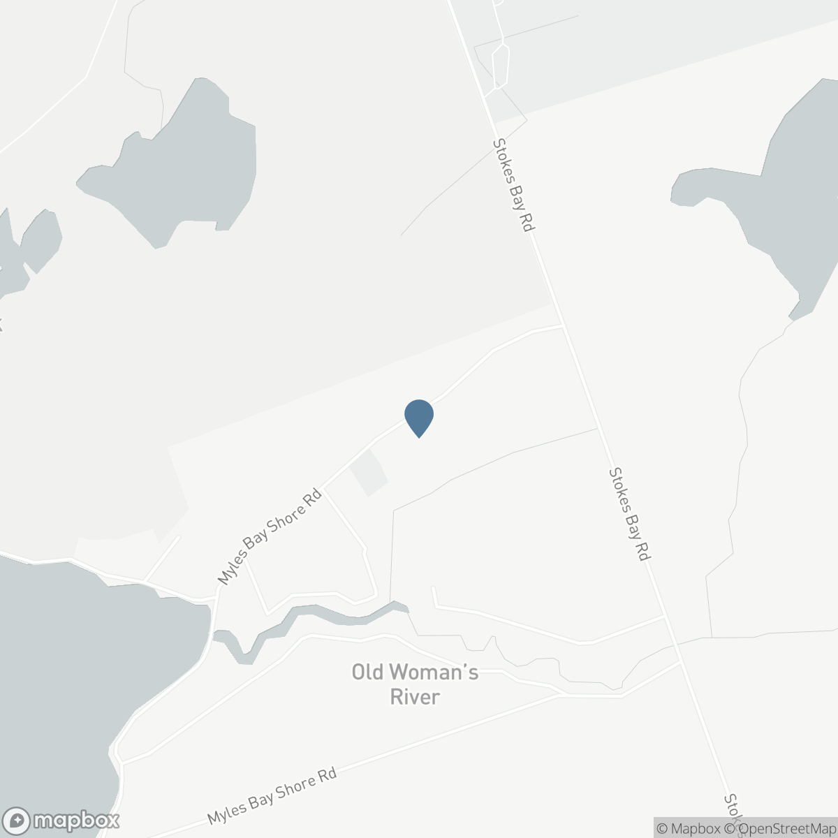 290 MYLES BAY SHORE ROAD, Lion's Head, Ontario N0H 1W0